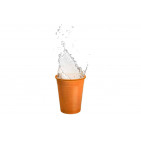 PP Cups