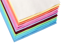 PERFECTLY ABSORBENT TRAY PAPER INSERTS